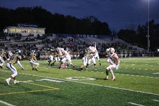 October 11 2019 IMG_2109138